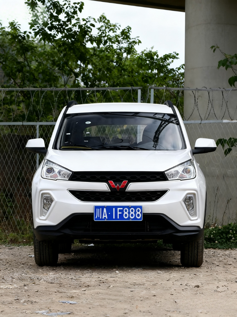 【已售】川A·1F888 | 当成都遇见“发发发”，这才是老板们的隐藏身份